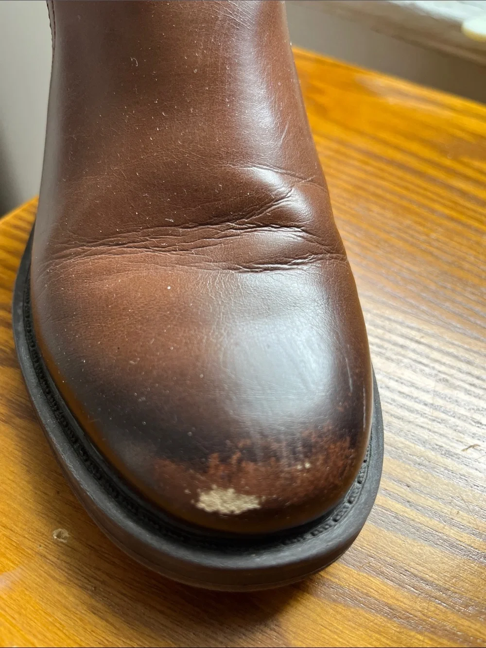 Sara classic brown